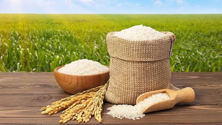 برنج باکیفیت و محصولات غذایی شالیزار